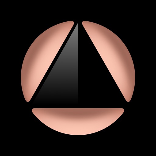 Foundation Passport logo
